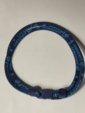 833975000597 PHITEN Titanium Necklace Turquoise Loose