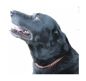 43396-265118 PROEXL Copper Magnetic Therapy Dog Collars Solid