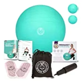 The Birth Ball 866843000306 - Birthing For Pregnancy And Labor 18 Page Ball