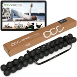 Sissel Spinefitter Back Massage Trainer, Spine Relaxation Device, Black. Fixed Price $209.99.