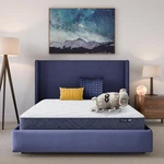 Serta Five Star Mattress Sleep To Go Twin Medium 8 In. In A Box. Fixed Price $249.99.
