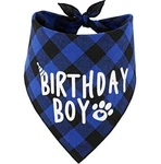 Jpb Dog Birthday Boy Bandana S. Fixed Price $16.18.