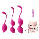 Kegel Tightener Balls For Women Pelvic Floor Exercise Set Ben Wa Tightenin. Fixed Price $46.99.