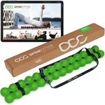 Spinefitter By Sissel Green Massager For Back & Balance Trainer Reli.... Fixed Price $159.91.