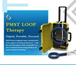 6000gauss Pemf Devices Pmst Loop Magnetic Therapy For Humans Horse Pain Relief. Fixed Price $2288.00.