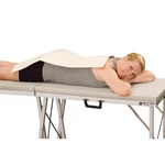 Battle Creek Thermophore Classic Moist Heating Pad 5 Sizes, Deep Heat Therapy. Fixed Price $119.00.
